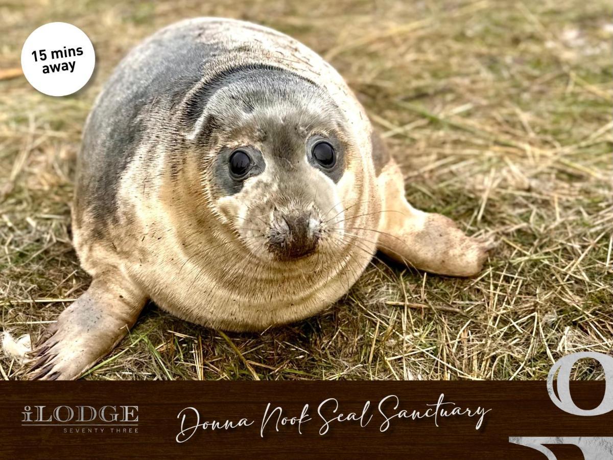Ilodge 73 ラウス エクステリア 写真